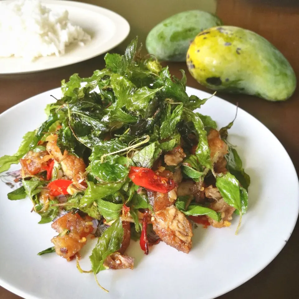 crispy belly pork with crispy holy basil #eatinthai|Eat in Thaiさん