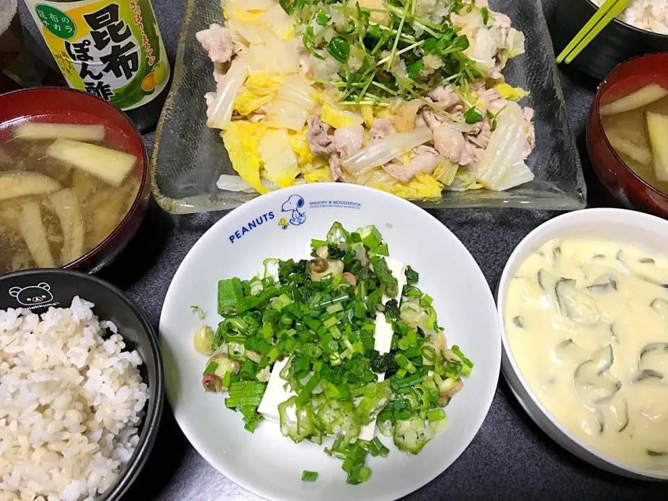 もち麦飯、おろし豚しゃぶ、炒め茄子しょうが味噌汁、チーズinポテトサラダ、薬味どっさり冷奴|ms903さん