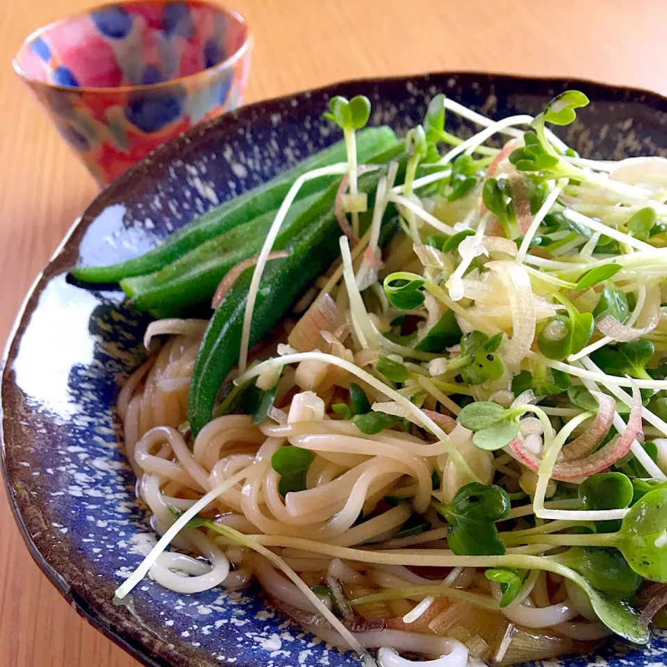 薬味たっぷり半田めん 梅醤油を添えて。|Takako  Asamotoさん