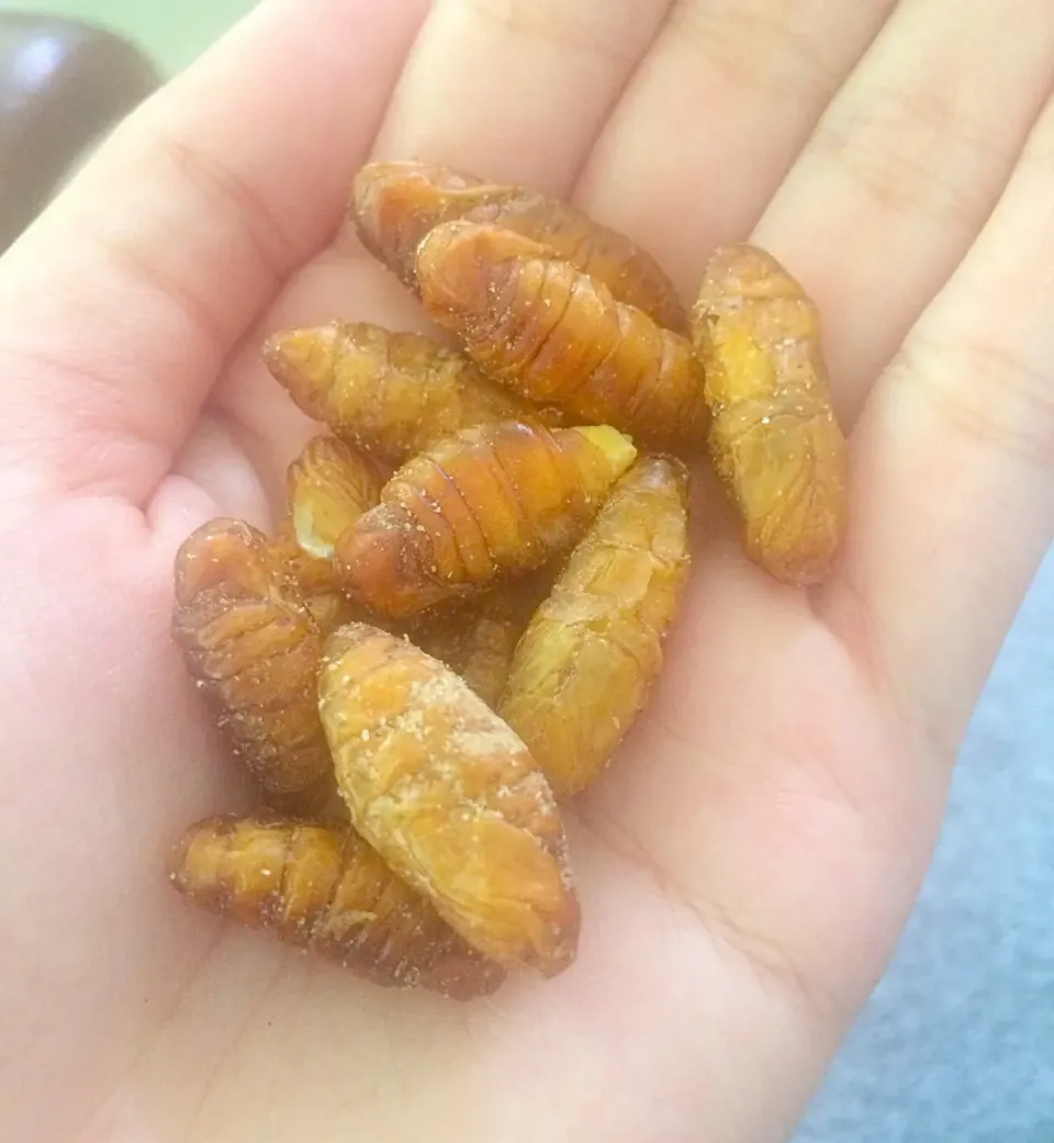 ดักแด้ทอดกรอบ crispy silkworm|SaSaさん