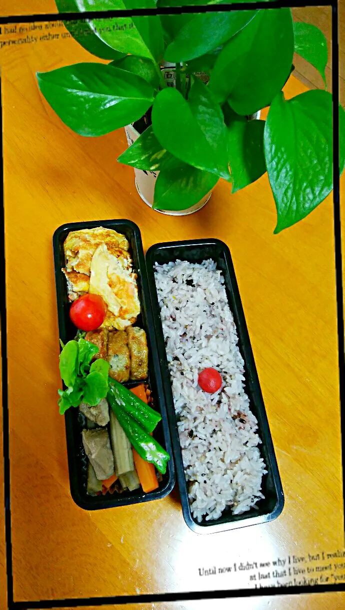 パパ弁当（牛蒡と鶏肉の煮物、蟹入り卵焼き、つくね、１６穀米ごはん)|かずにゃんさん