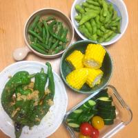 夏野菜満載の収穫祭り料理