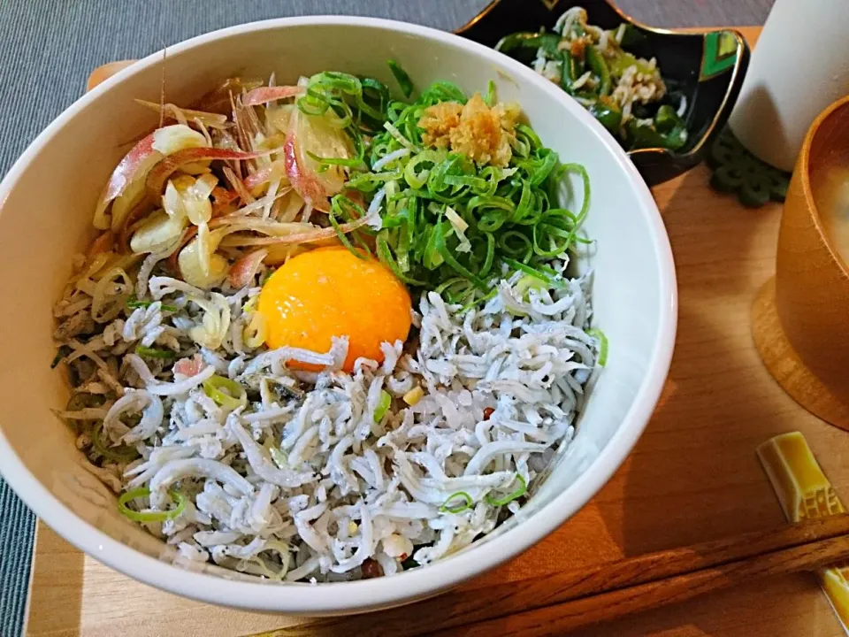 釜揚げしらす丼、ピーマンのレンジ蒸ししらす和え|おむすびさん