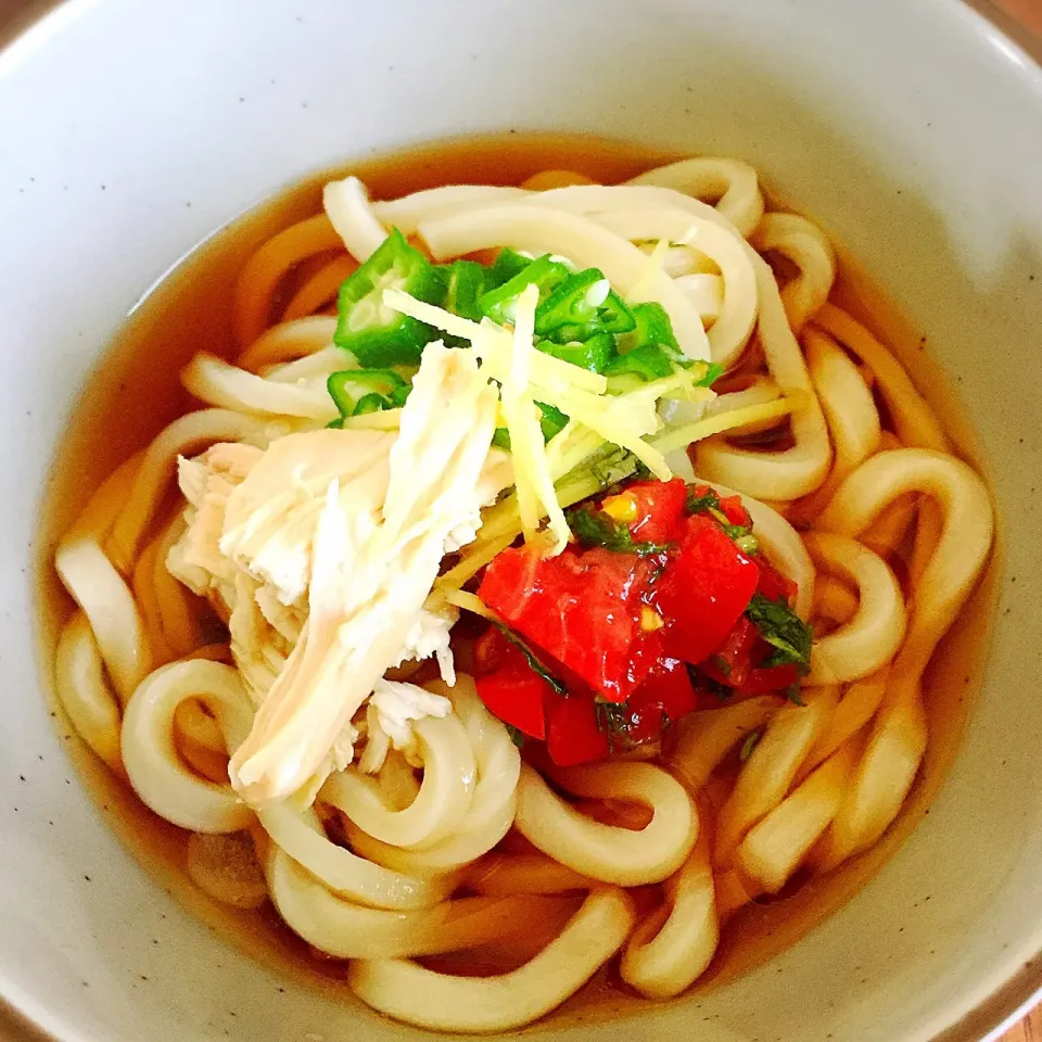 冷やしうどん  〜いろいろのせて😋〜|アッツさん