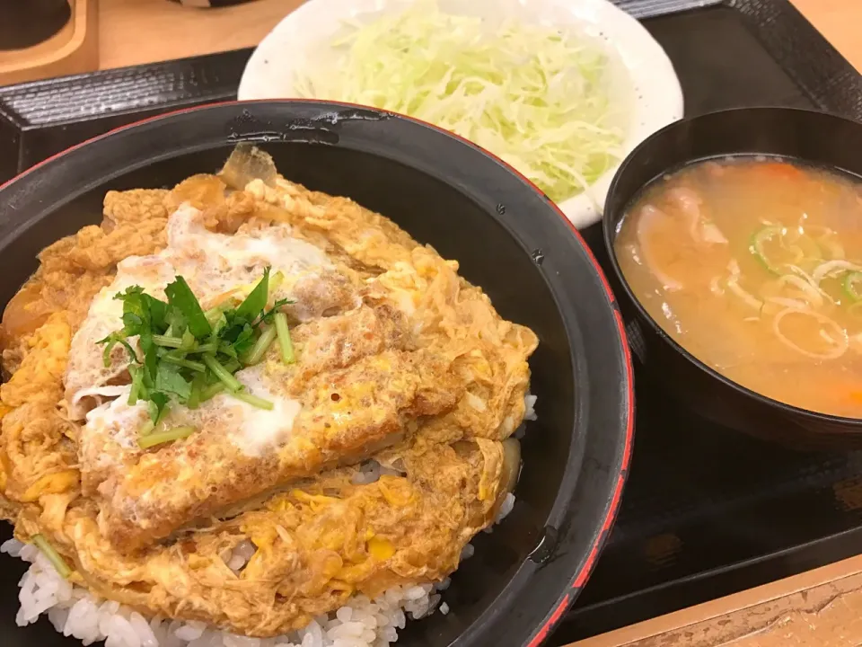 Snapdishの料理写真:ミニカツ丼セット|マハロ菊池さん