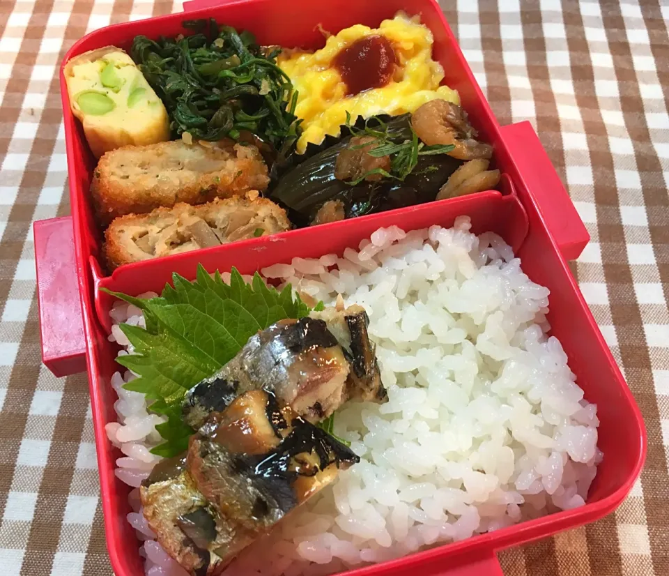 7月20日 朝から 夏空弁当|sakuramochiさん