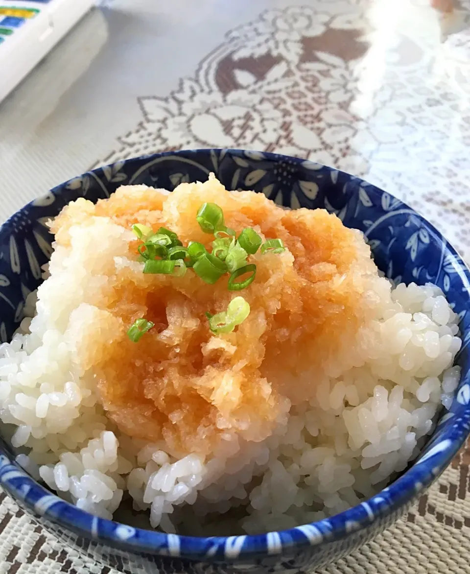 またまた・・ おろしぶっかけ飯|ヨシヨシさん