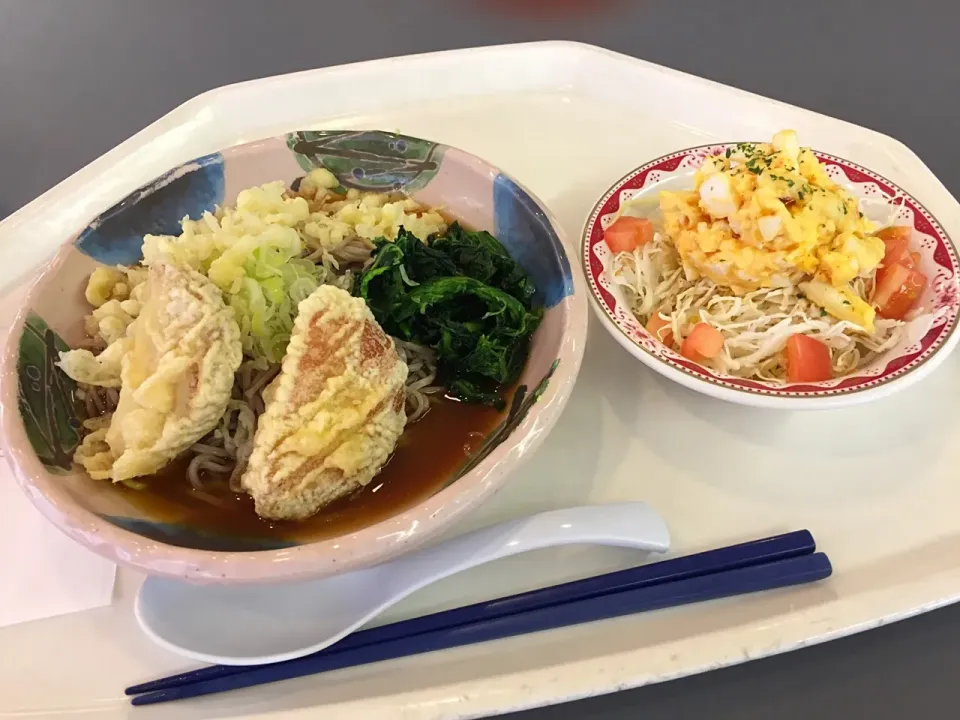 Snapdishの料理写真:冷しぶっかけ蕎麦、さつま揚げ天、青菜、揚げ玉、エッグマカロニサラダ|Tadahiko Watanabeさん