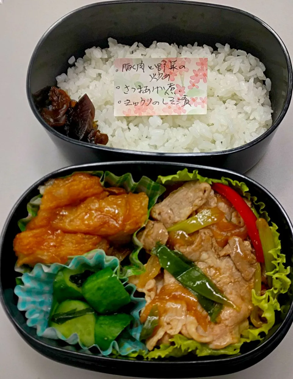 7月20日のサラメシは
*豚肉と野菜の炒め
*さつま揚げ煮
*きゅうりのしそ漬け|ニッパーさん