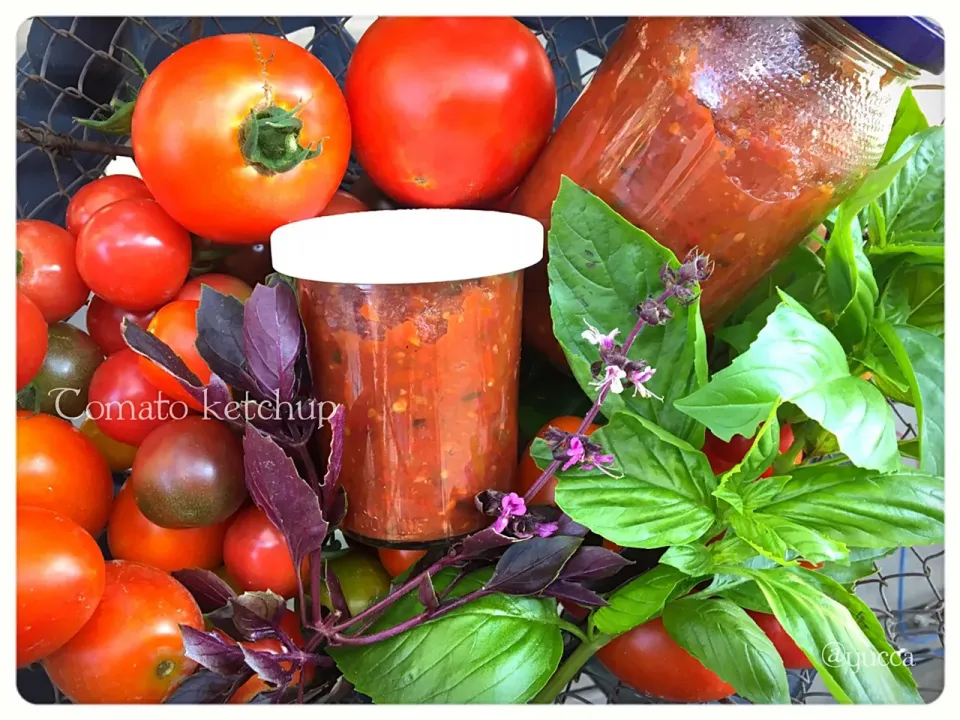 Snapdishの料理写真:夏の手仕事🍅第2弾✌️
高野裕子さんの料理 手作りトマトケチャップ
スパイシー💕|yucca@さん