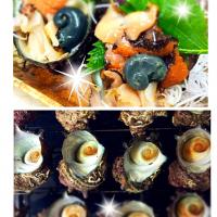 サザエさん(* ॑꒳ ॑* )⋆*.•*¨*•.¸¸♬