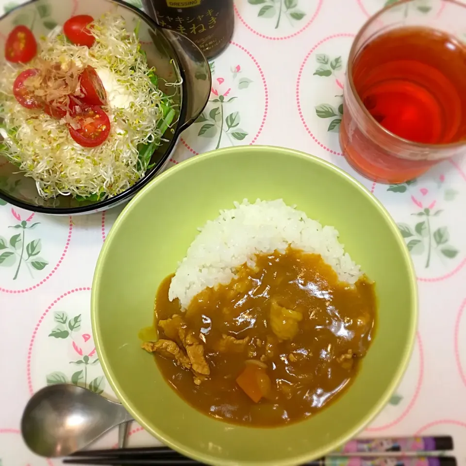 カレー
豆腐とアルファルファのサラダ|米さん