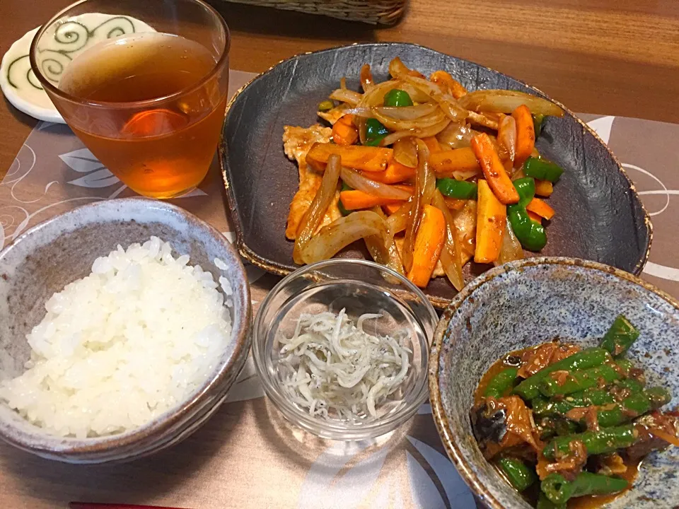 晩御飯
豚肉と玉ねぎと人参とピーマンのソース炒め、インゲンと鯖の味噌煮、しらす、白米|かよちゃんさん