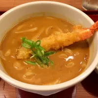 Snapdishの料理写真:エビ天カレーうどん