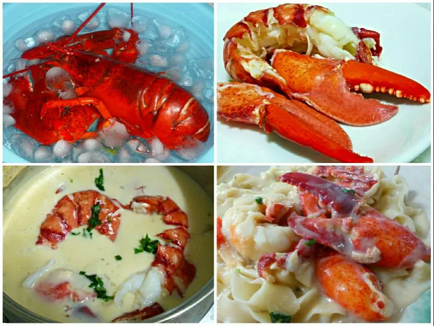 pasta with lobster|steven z.y.さん