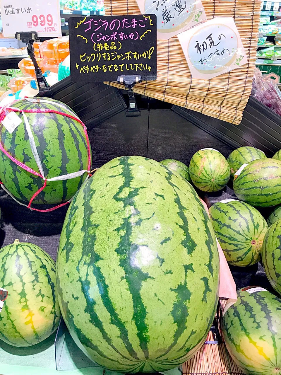 Snapdishの料理写真:ジャンボスイカ🍉|ナナさん