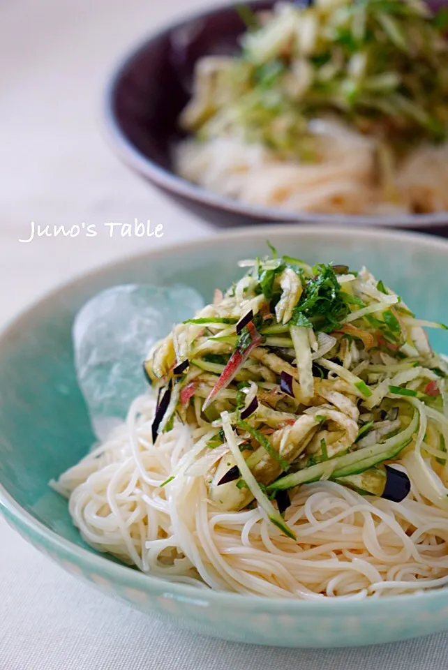 五味薬味&野菜のせ そうめん|Junさん