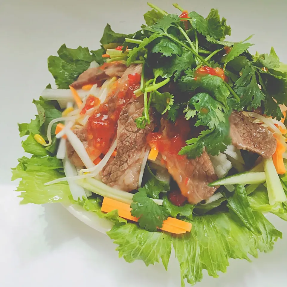 Wagu beef spicy Thai salad|Yukiさん