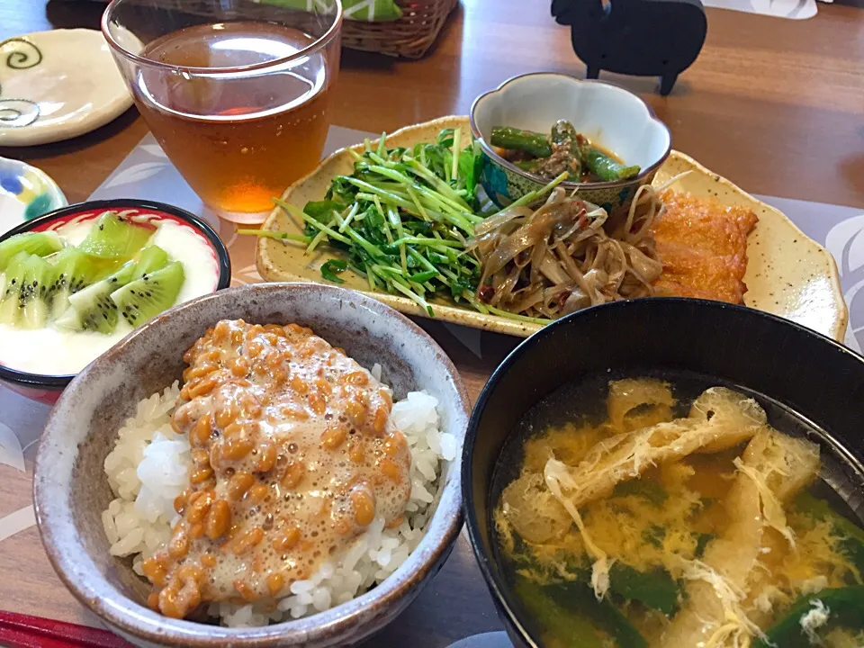 朝ごはん
はんぺん付焼き、きんぴらごぼう、豆苗エゴマ油炒め出汁塩、小松菜と揚げのかきたま汁、白米、納豆、キウイ添えヨーグルト|かよちゃんさん