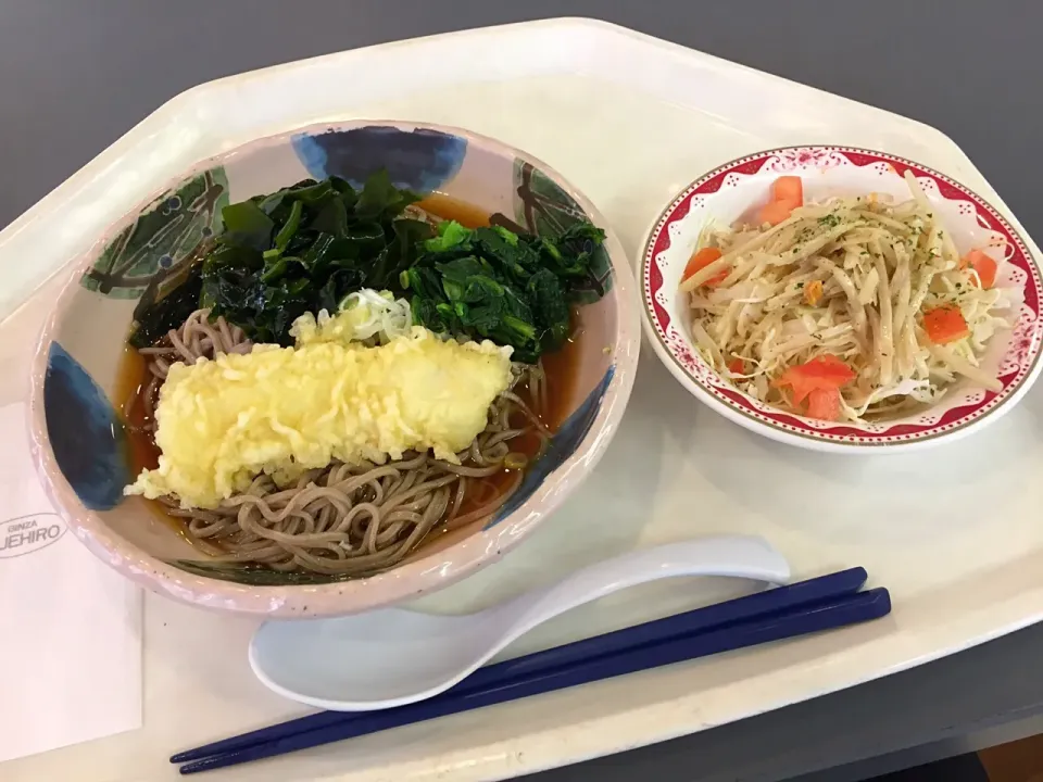 Snapdishの料理写真:冷しぶっかけ蕎麦、イカ天、青菜、わかめ、ごぼうサラダ|Tadahiko Watanabeさん