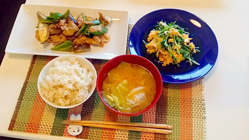 Snapdishの料理写真:今日の夕食　豚肉と野菜の味噌炒め、豆苗と卵のオイスターソース炒め、玄米、キャベツの味噌汁|pinknari🐰🌈さん