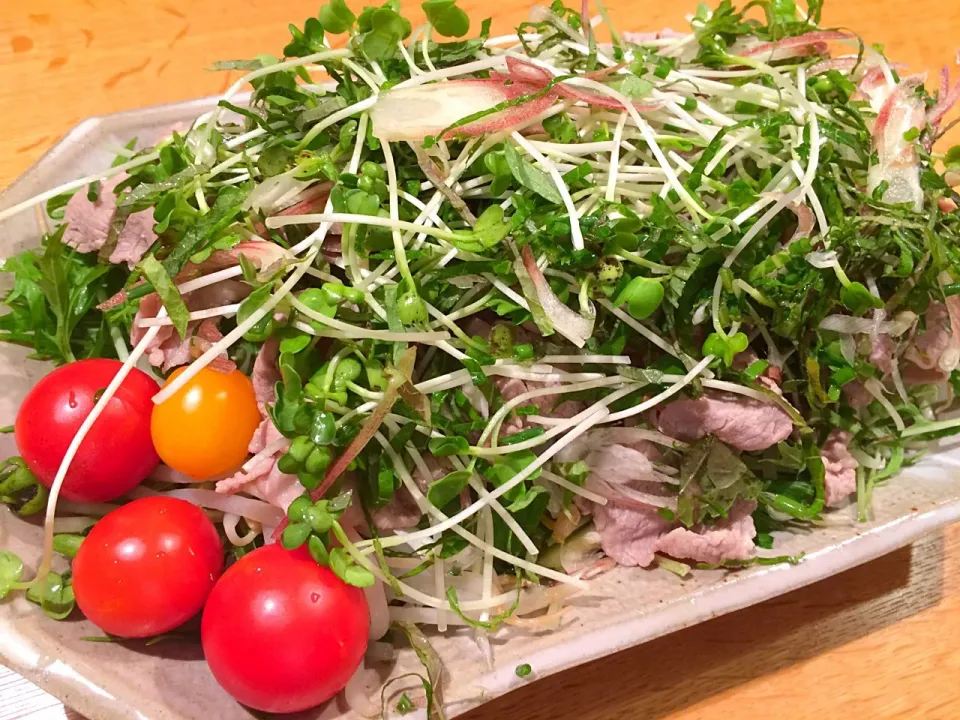 Snapdishの料理写真:山盛り豚しゃぶサラダ🥗
#豚しゃぶサラダ #もやし #貝割れ大根 #シソの葉 #ミョウガ #ミニトマト|doc3387さん