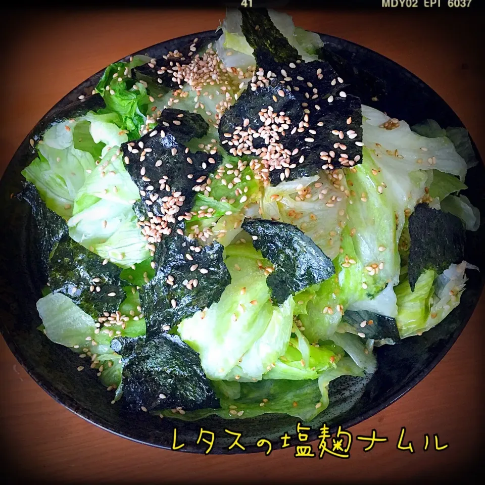 Snapdishの料理写真:きいこちゃんのレタスの塩糀ナムル♡ #塩糀#ナムル#お箸が止まらない#レタス1玉ひとたまりもない|ともきーた (伊藤 智子)さん