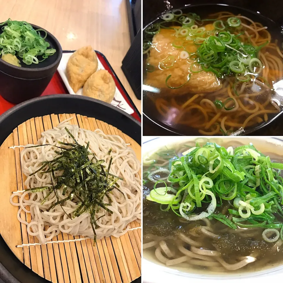 ここのところの昼餉🍜毎日毎日蕎麦ですが…最近痩せるペースが落ちてきましたわ😭|にゃあ（芸名）さん