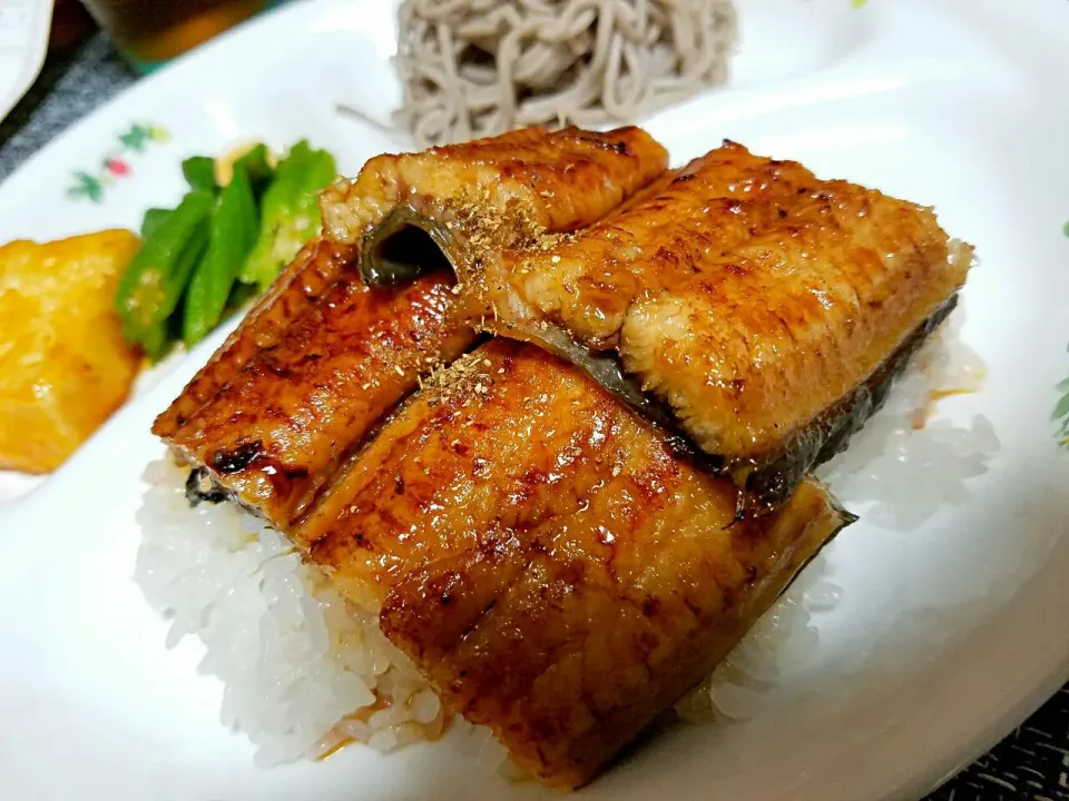 浜名湖産うなぎの蒲焼き丼|まりなさん