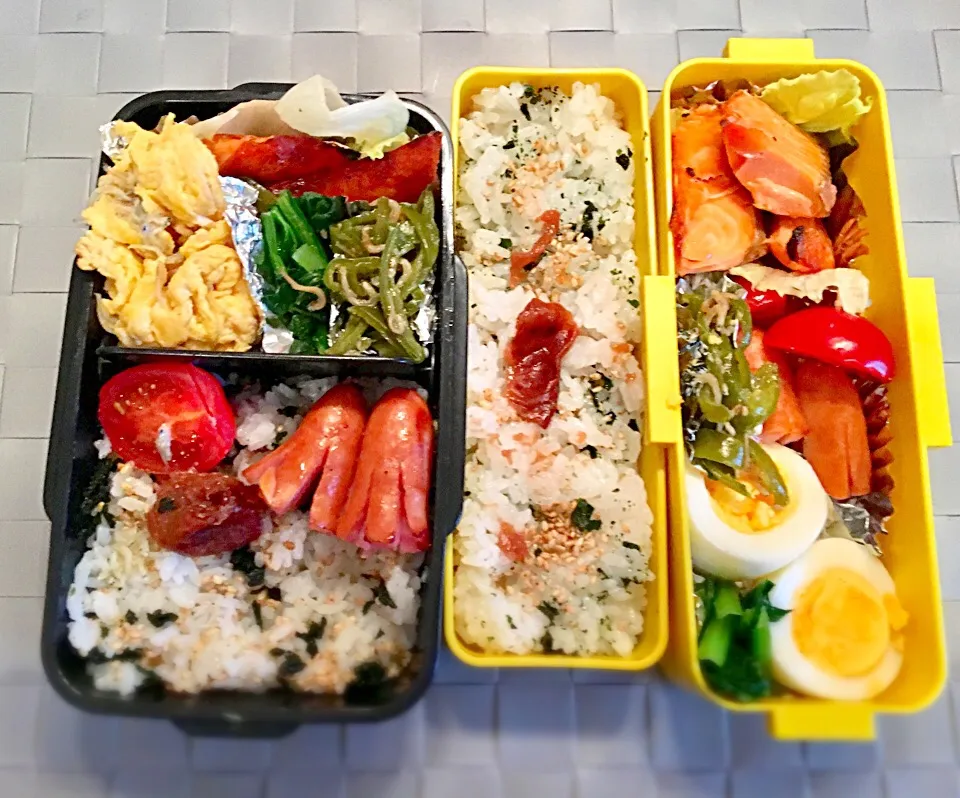 夏休み弁当。変わりばえしないけど、母弁のガッツリ度とテキトー度が増してる。#夏休み弁当#鮭弁当#母弁のガッツリ度とテキトー度だけ増幅中|Emi N Maruyamaさん