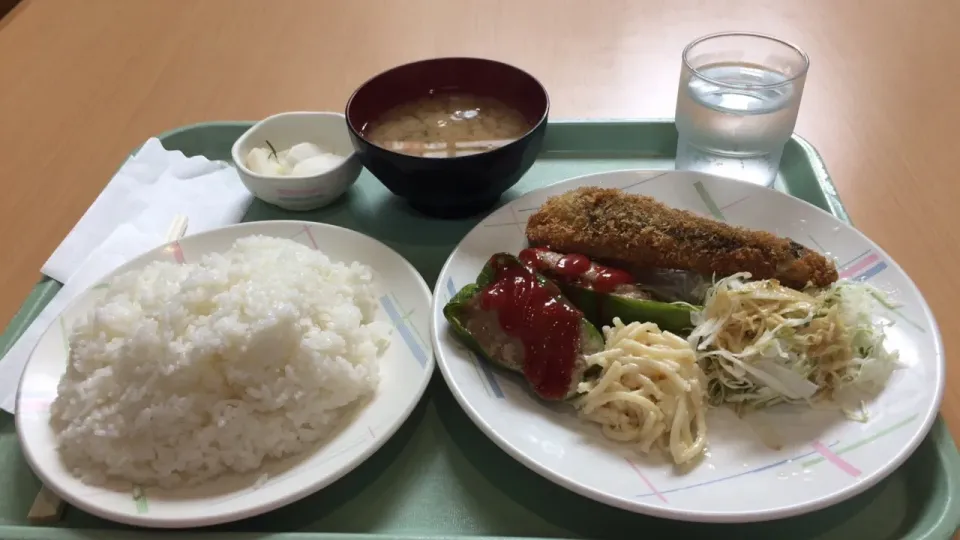 ナス挟み揚げ&ピーマン肉詰め ご飯大盛り５２０円|おっちさん