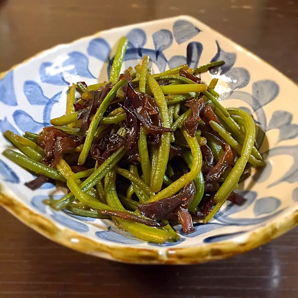 糸島の伊都菜彩で購入した〜朝採り生きくらげと芋づるのキンピラ🍅🍆🥒

#野菜たっぷり 
#伊都菜彩|シロンさん