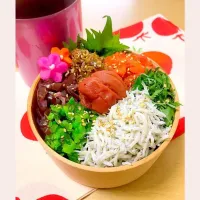 Snapdishの料理写真:サッパリお茶漬け弁当