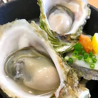 九十九島岩カキのステーキ
旨味が凝縮しています|Ichiro Fujinagaさん