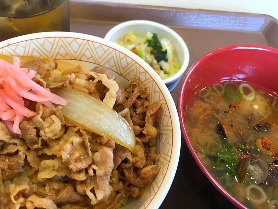 牛丼並盛 しじみ汁おしんこセット すき家
#牛丼 #しじみ汁 #おしんこ #漬物 #セット #定食|sakumaさん