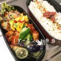 Snapdishの料理写真:ダーリンのお弁当
#ダーリンのお弁当
#二段お弁当|Ayako Sekoさん