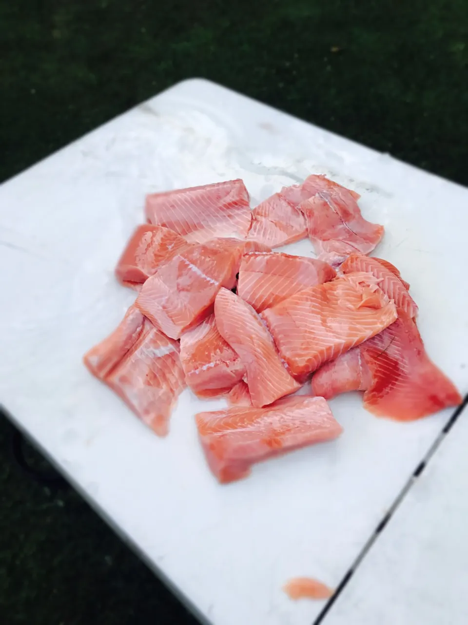 We are going to be eating #salmon for a while! #greatlakesfishing|Liesel Ryanさん