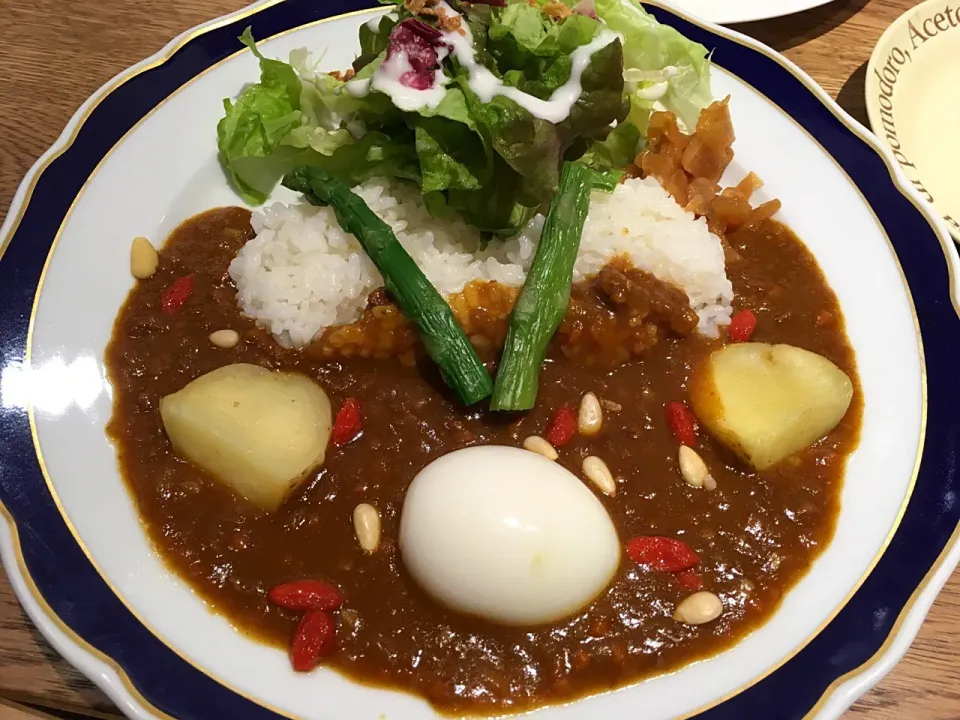 Snapdishの料理写真:薬膳カレー|こいちさん