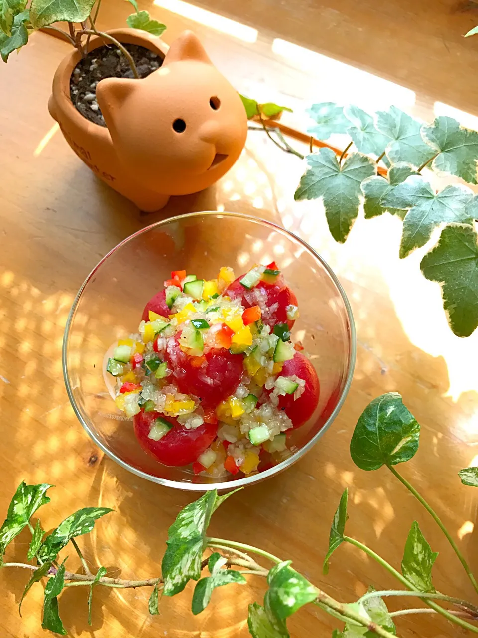 🍅プチトマトのラビゴットソース🥗サラダ🍅|Hollyさん