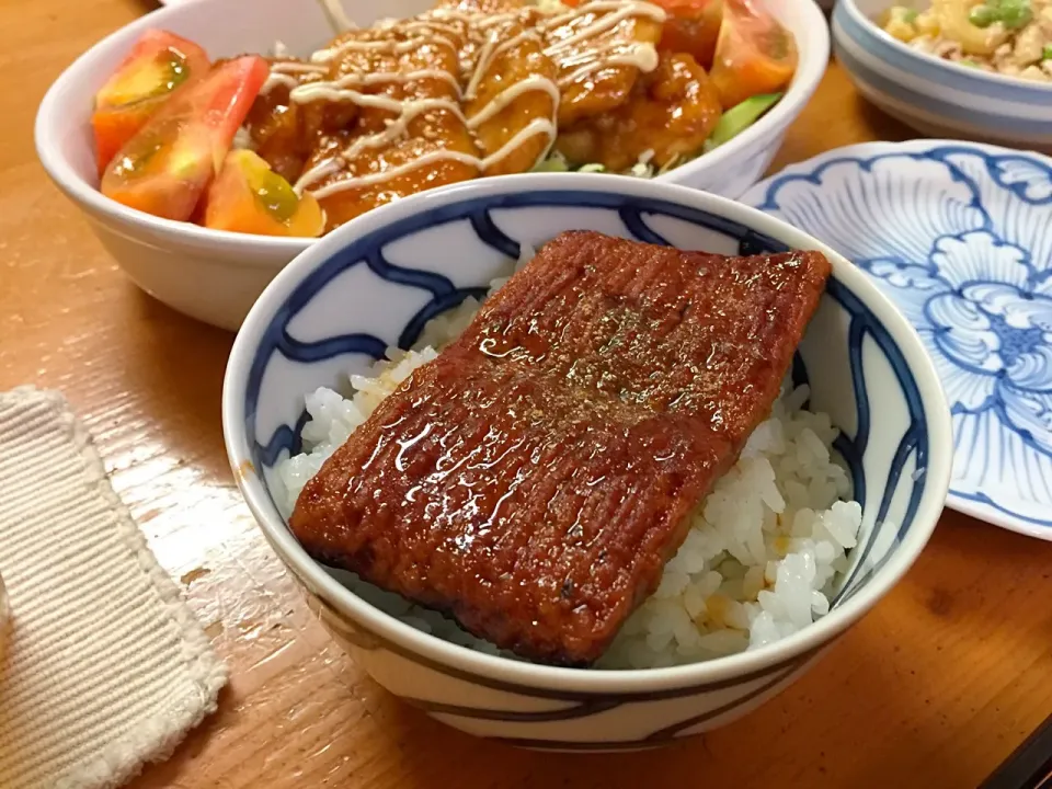 うなぎ気分 うな次郎 (*^^*)|ルドルフさん