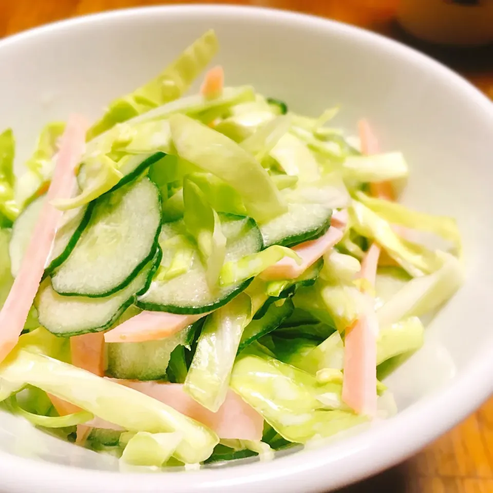 コールスロー（低糖質メニュー）|necoronさん