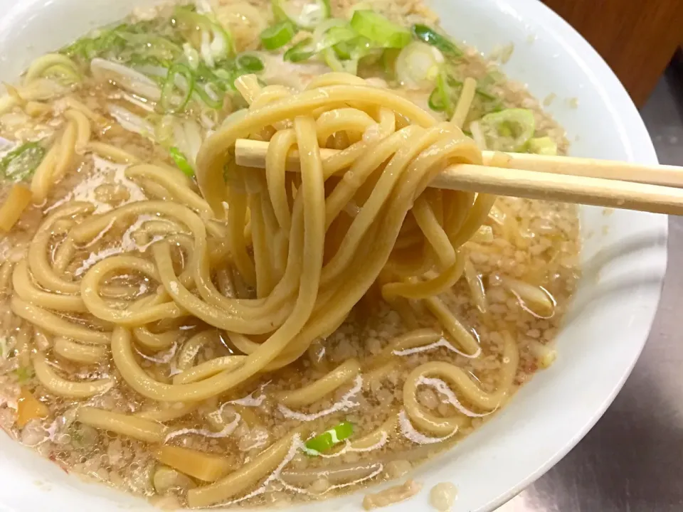 ホープ軒 チャーシュー麺|にゃん太郎さん