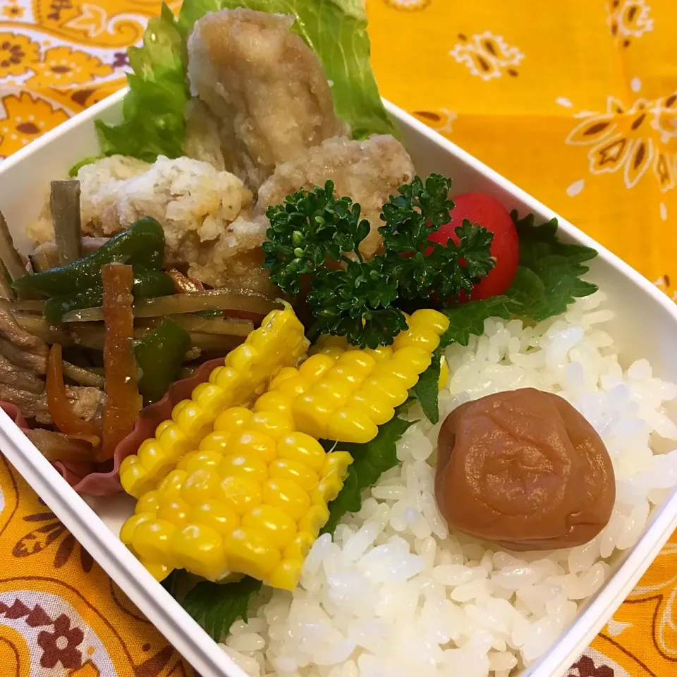 Snapdishの料理写真:詰めるだけ自分弁当|nibunnoichi-yoyoさん