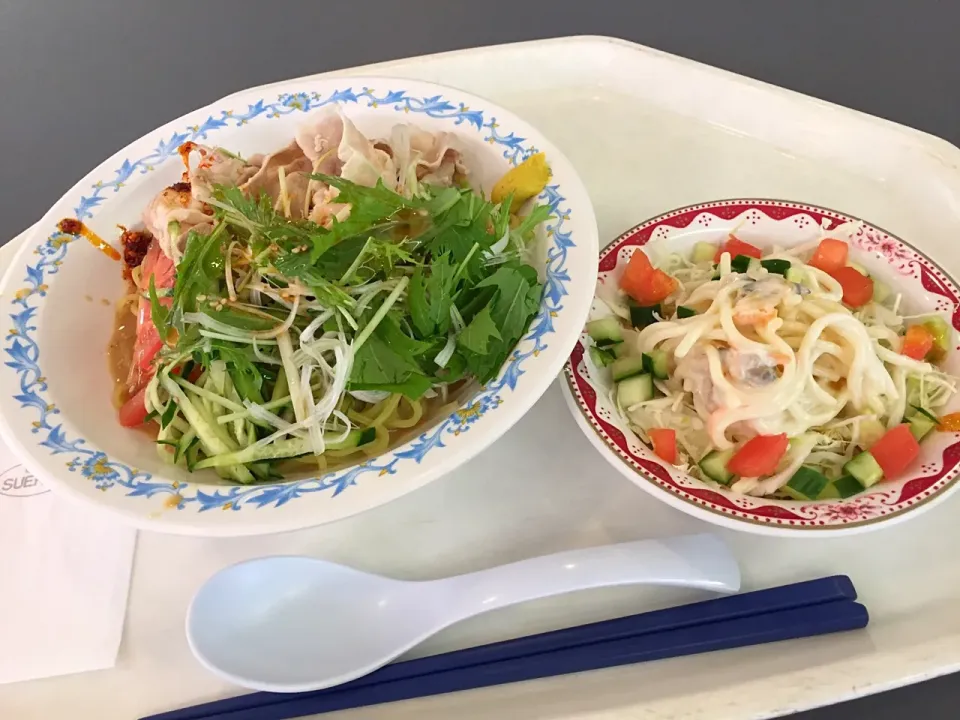 冷し豚しゃぶ胡麻だれサラダ麺、シーフードパスタサラダ|Tadahiko Watanabeさん