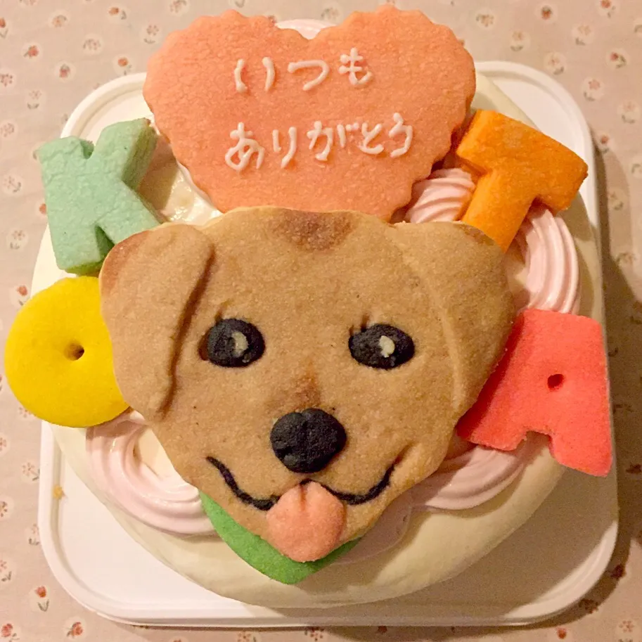 愛犬の似顔のプレゼントケーキ#デコレーションケーキ#ケーキ#ペット#犬#似顔絵クッキー #クッキー#国産小麦粉使用 #ラブラドール|サント*シャペルさん