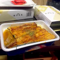 うなぎ弁当|サイバーさん