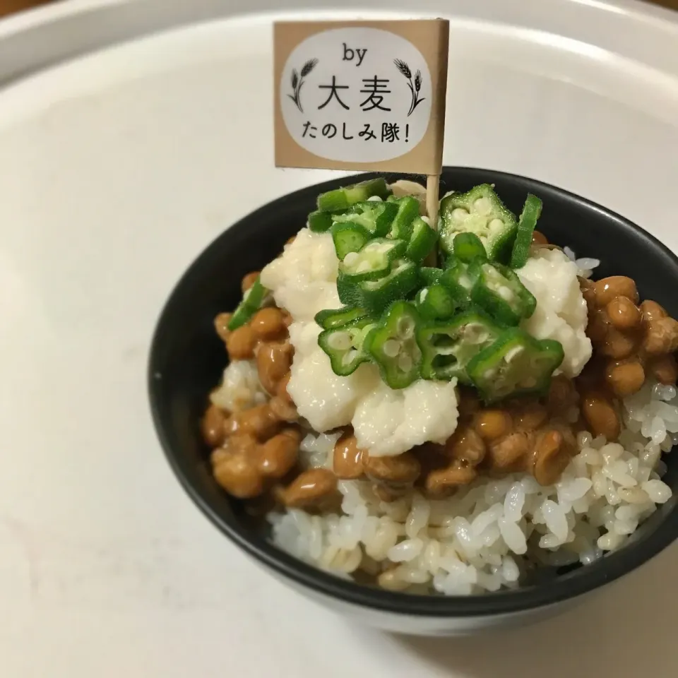 Snapdishの料理写真:納豆とろろオクラもち麦ごはん

#ねばとろぷち
#大麦たのしみ隊|ちこさん