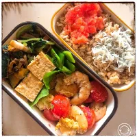 Snapdishの料理写真:今日のお弁当
メインはエビとトマトの卵炒め物

#エビ #トマト#卵 #お弁当 #詰めるだけ #作り置き #かぼちゃとしめじのソテー #モロッコインゲンのおひたし #玄米雑穀ご飯|52gotoさん