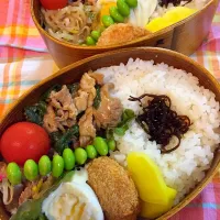 Snapdishの料理写真:お弁当|みーこさん