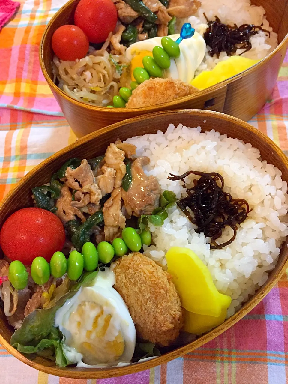 Snapdishの料理写真:お弁当|みーこさん